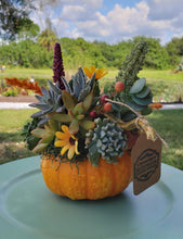 Load image into Gallery viewer, Indoor Succulent Pumpkin Workshop #3- 10/19/24
